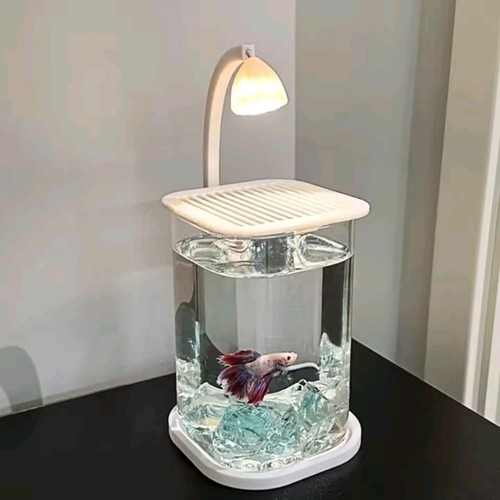 Mini desktop acrylic fish tank - desktop,