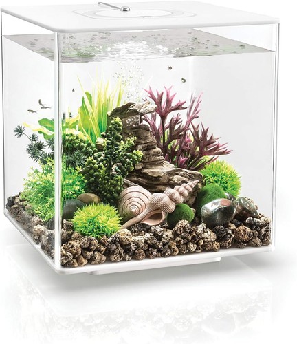 Biorb cube acrylic - biorb,