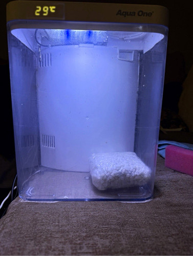 Aqua one mini aquarium 7l - aquarium, 9.7l