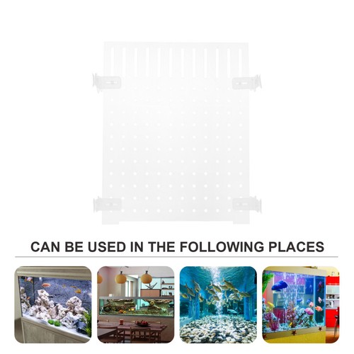 Acrylic aquarium divider - aquarium,