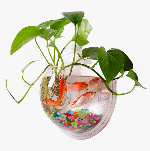 Wall mounted fish bowl planter - fish,