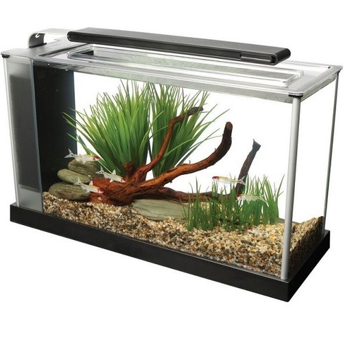 Fluval spec aquarium 10l - spec, or