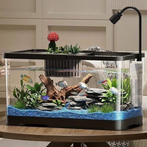 Fish tank starter kit with - fish,