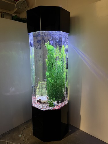 Column aquarium tower fish - aquarium,