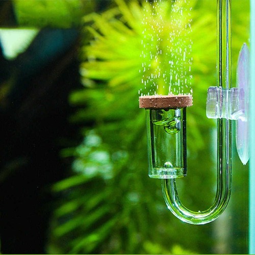 Acrylic aquarium co2 diffuser - aquarium,
