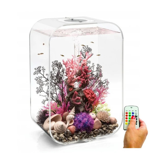 Biorb life aquarium - life,