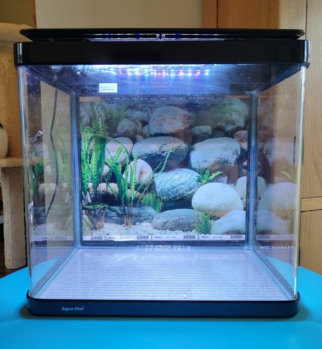 Aqua one fish - aqua, litre