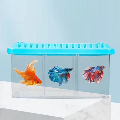 Acrylic fish tank detachable - acrylic,