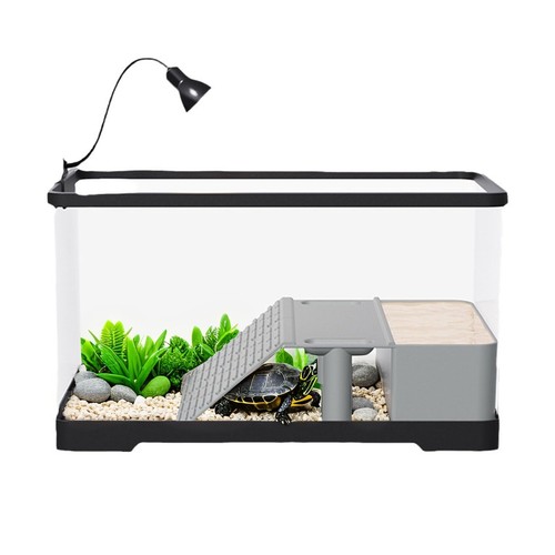 Acrylic turtle tank - turtle, aquarium