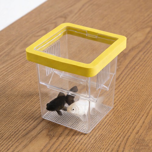 Durable acrylic floating fish - durable,